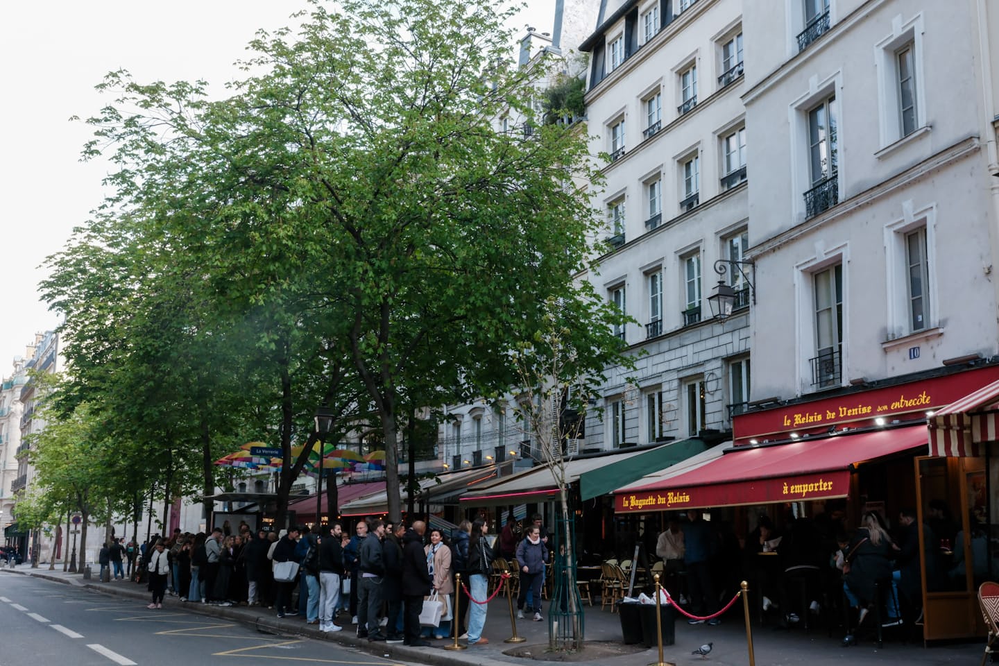 A long queue of people under trees on a Paris sidewalk outside a bistro terrace
